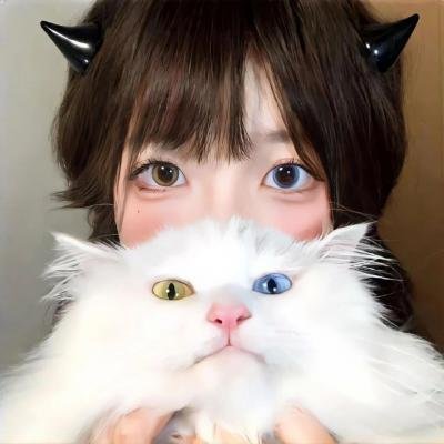 TheWild：野兽们的战争